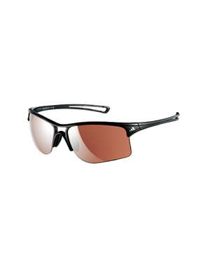 adidas raylor l sunglasses