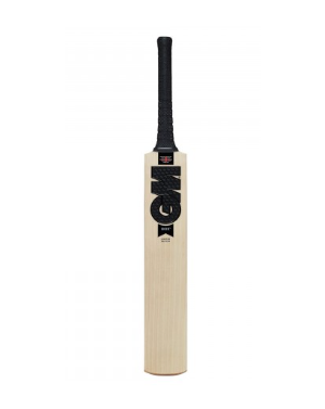 GM Noir DXM 404 Cricket Bat