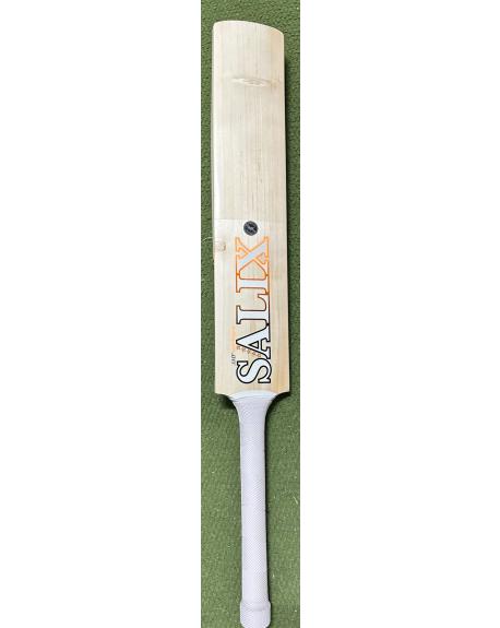 Salix AMP Alba Cricket Bat