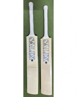 Salix AMP Performance Cricket Bat