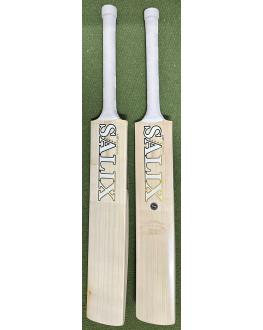 Salix AMP Marque Cricket Bat