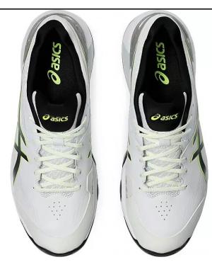 ASICS 350 NOT OUT FF Cricket Shoes