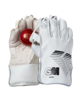 GM Wicket Keeping 606 Gloves 