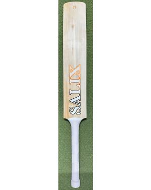 Salix AMP Alba Cricket Bat