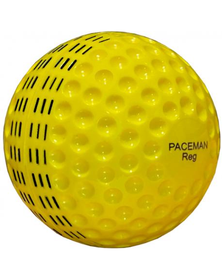 Paceman Bowling Machine Reg Cricket Balls