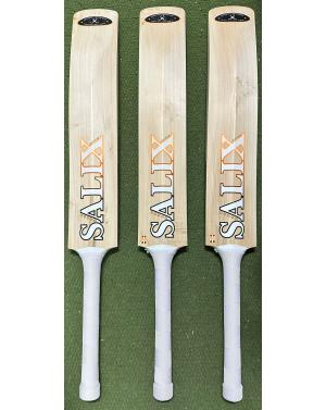 Salix AMP Select Cricket Bat